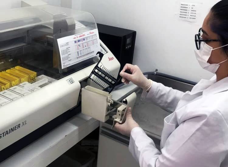 Processamento de Blocos e Lâminas